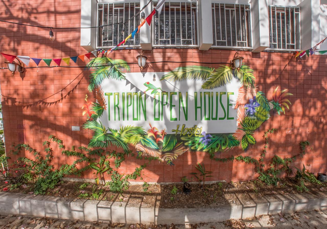 بيت شباب Tripon Open House سان هوزيه المظهر الخارجي الصورة