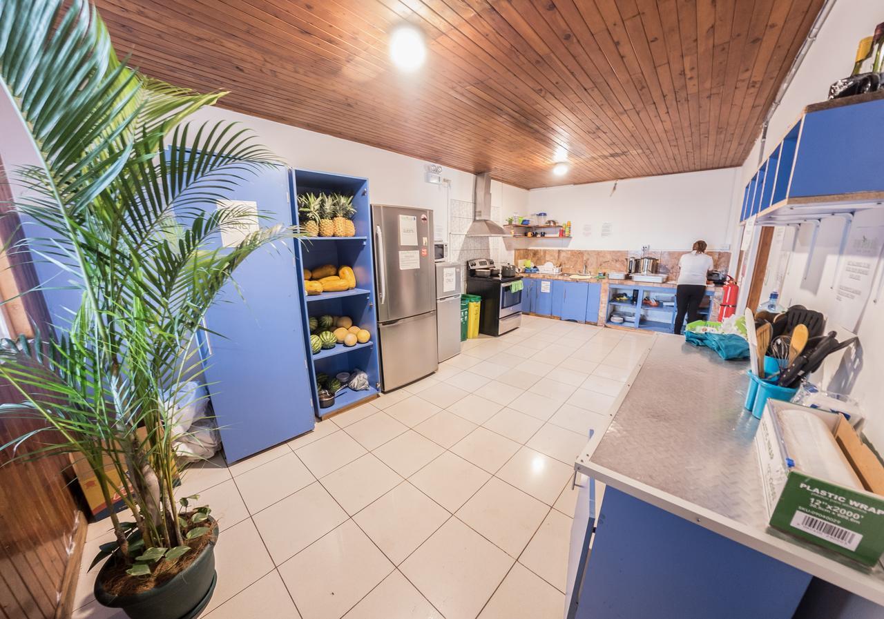 بيت شباب Tripon Open House سان هوزيه المظهر الخارجي الصورة