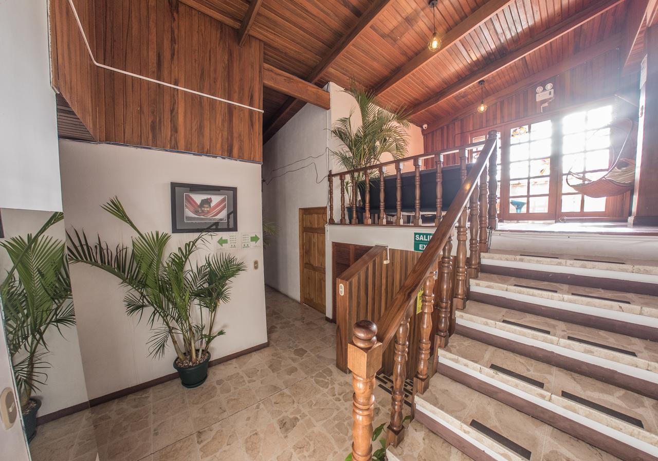 بيت شباب Tripon Open House سان هوزيه المظهر الخارجي الصورة
