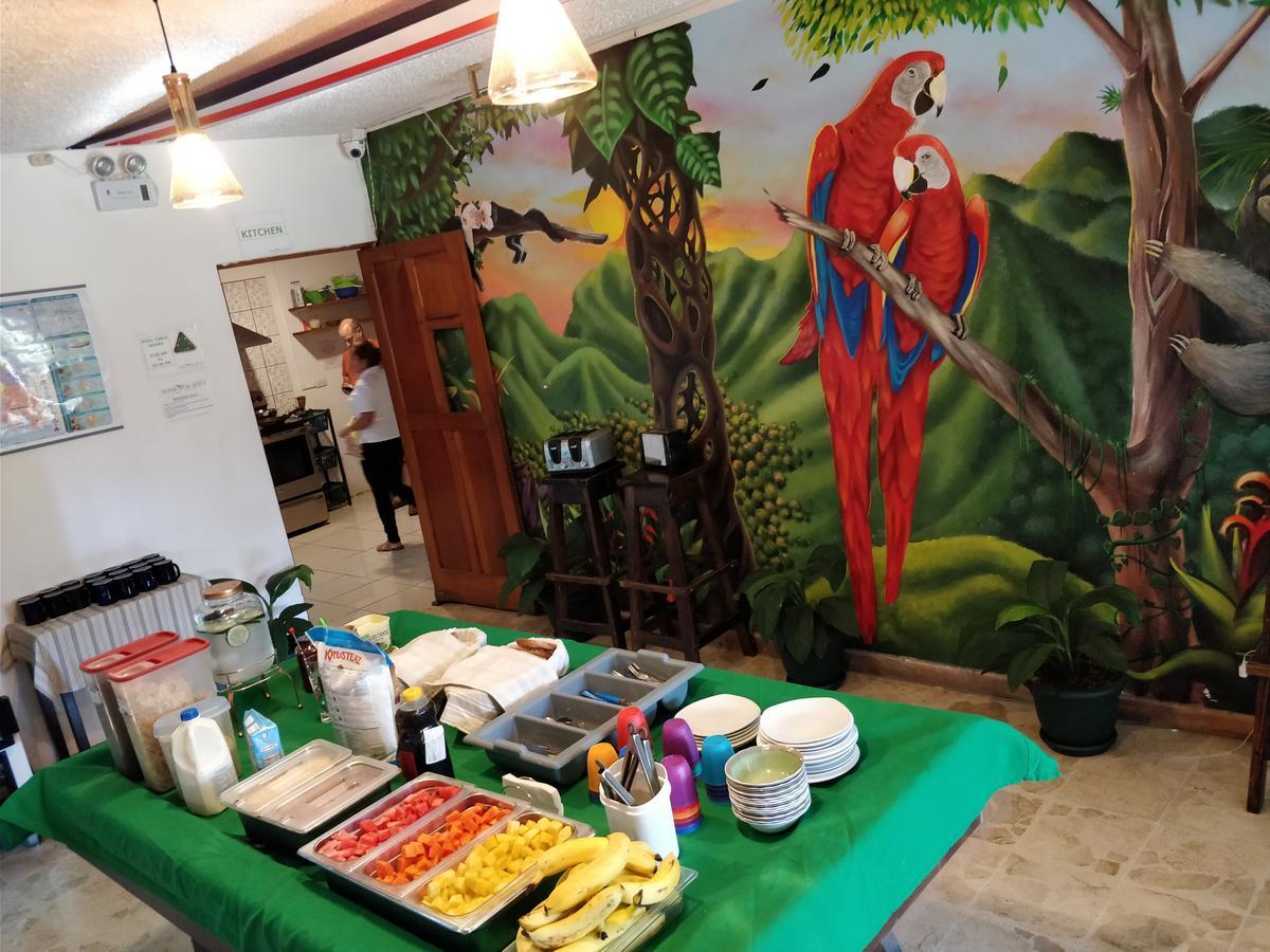 بيت شباب Tripon Open House سان هوزيه المظهر الخارجي الصورة