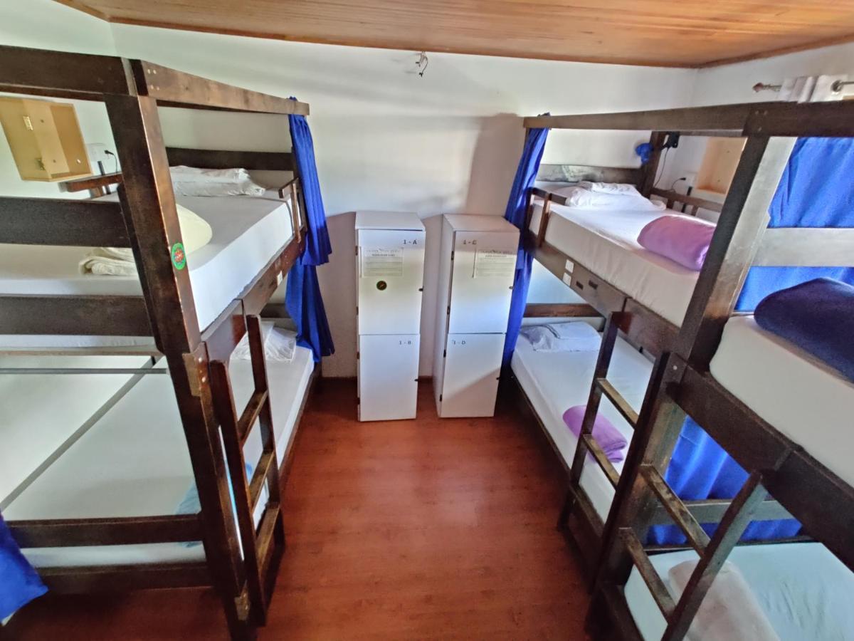 بيت شباب Tripon Open House سان هوزيه المظهر الخارجي الصورة