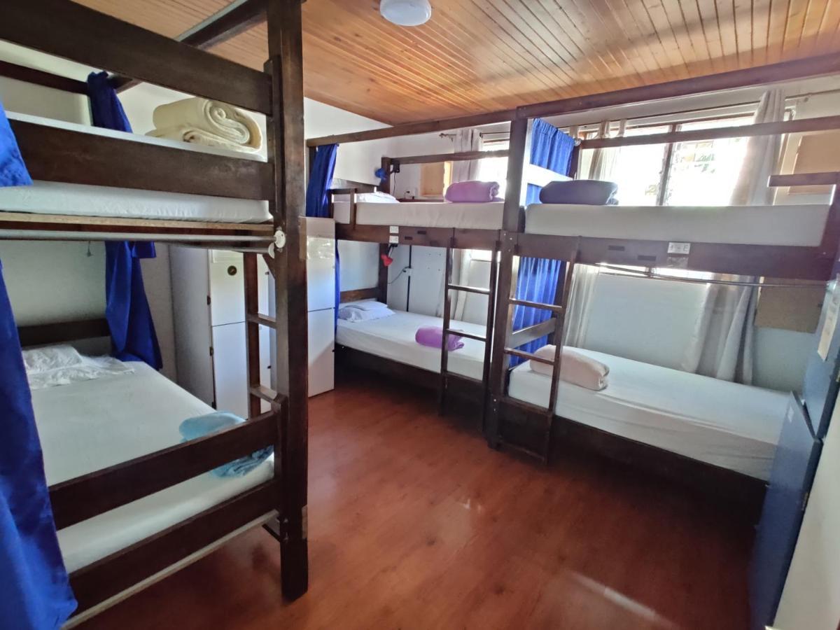 بيت شباب Tripon Open House سان هوزيه المظهر الخارجي الصورة