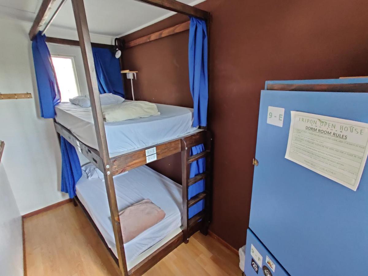 بيت شباب Tripon Open House سان هوزيه المظهر الخارجي الصورة