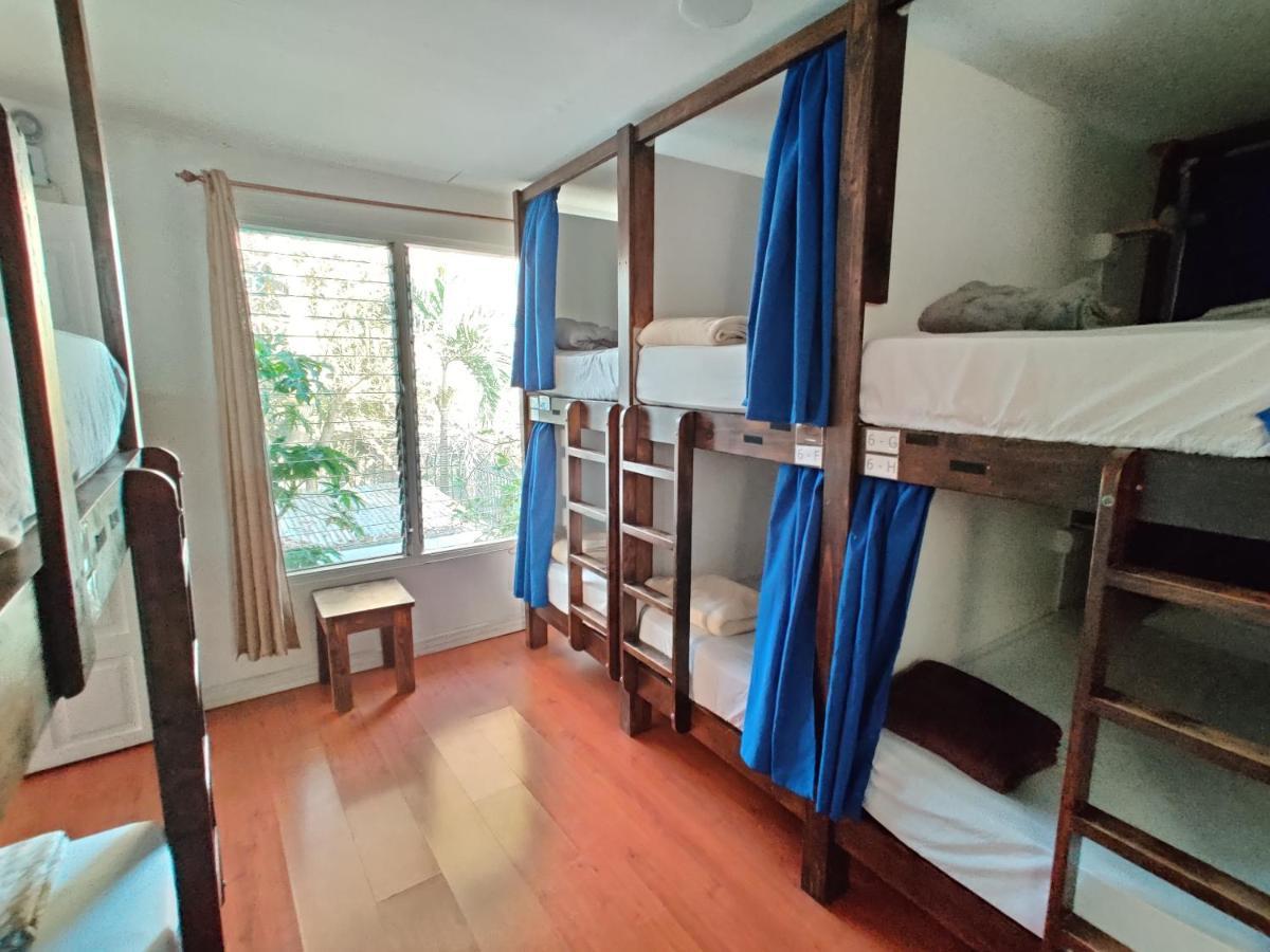 بيت شباب Tripon Open House سان هوزيه المظهر الخارجي الصورة